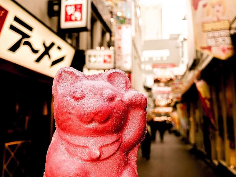 WHERE I ATE AS A VEGAN IN TOKYO