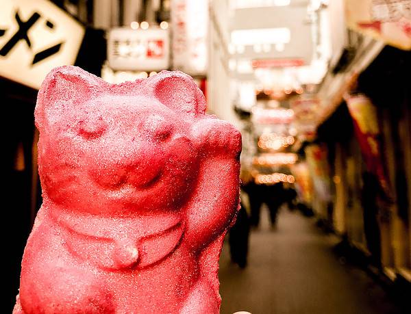 Bild von vegan essen in Tokyo