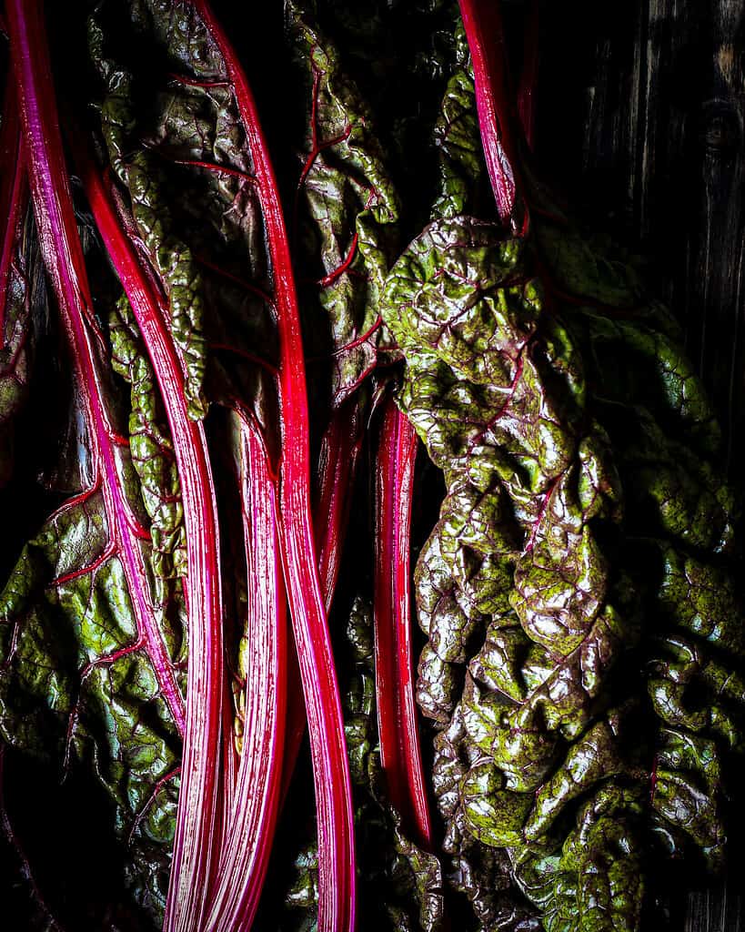 Swiss Chard/ Nina Bolders Food Photography