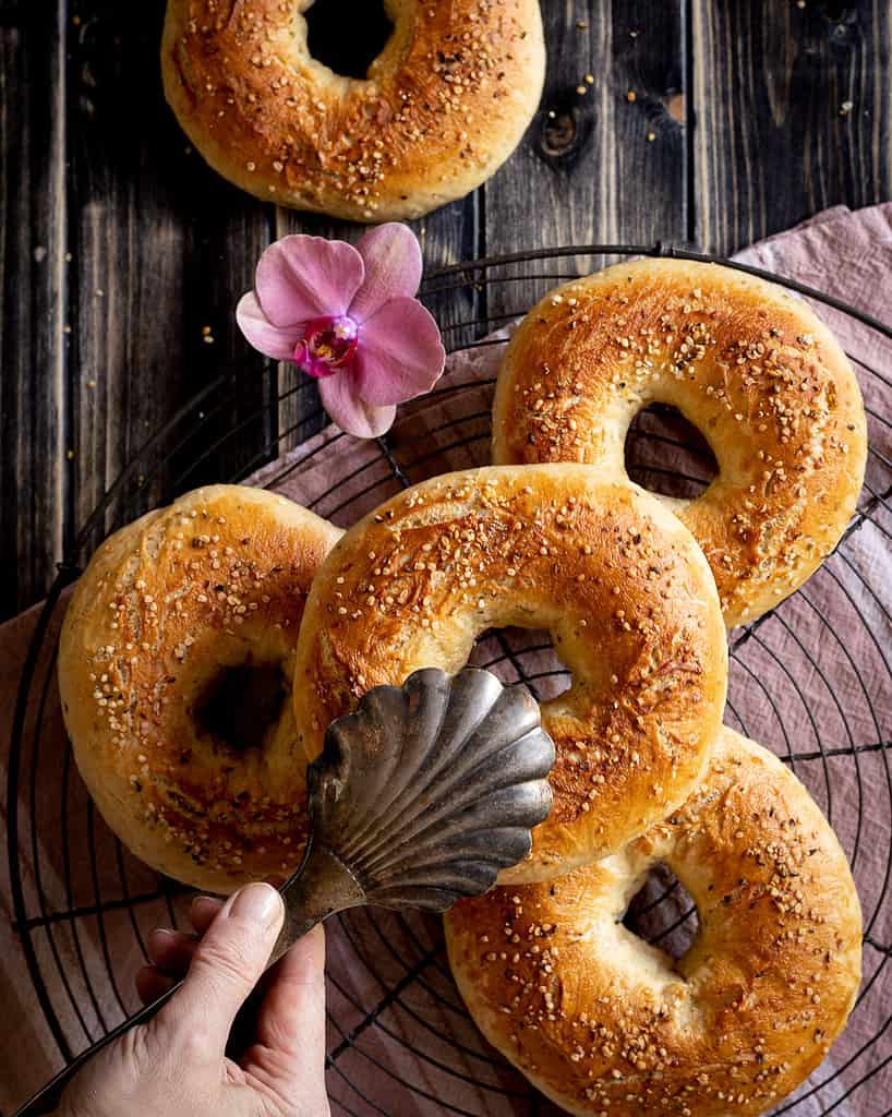 Spelt bagels with hemp seeds