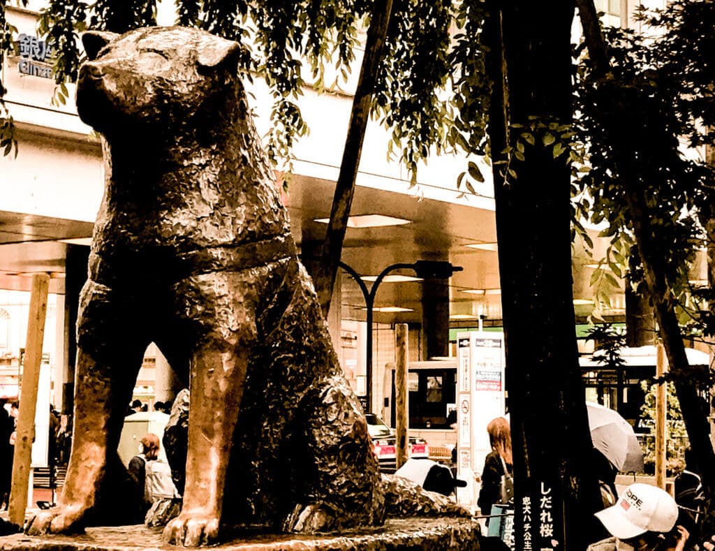 Hachiko Denkmal vor der Shibuya Station Tokyo
