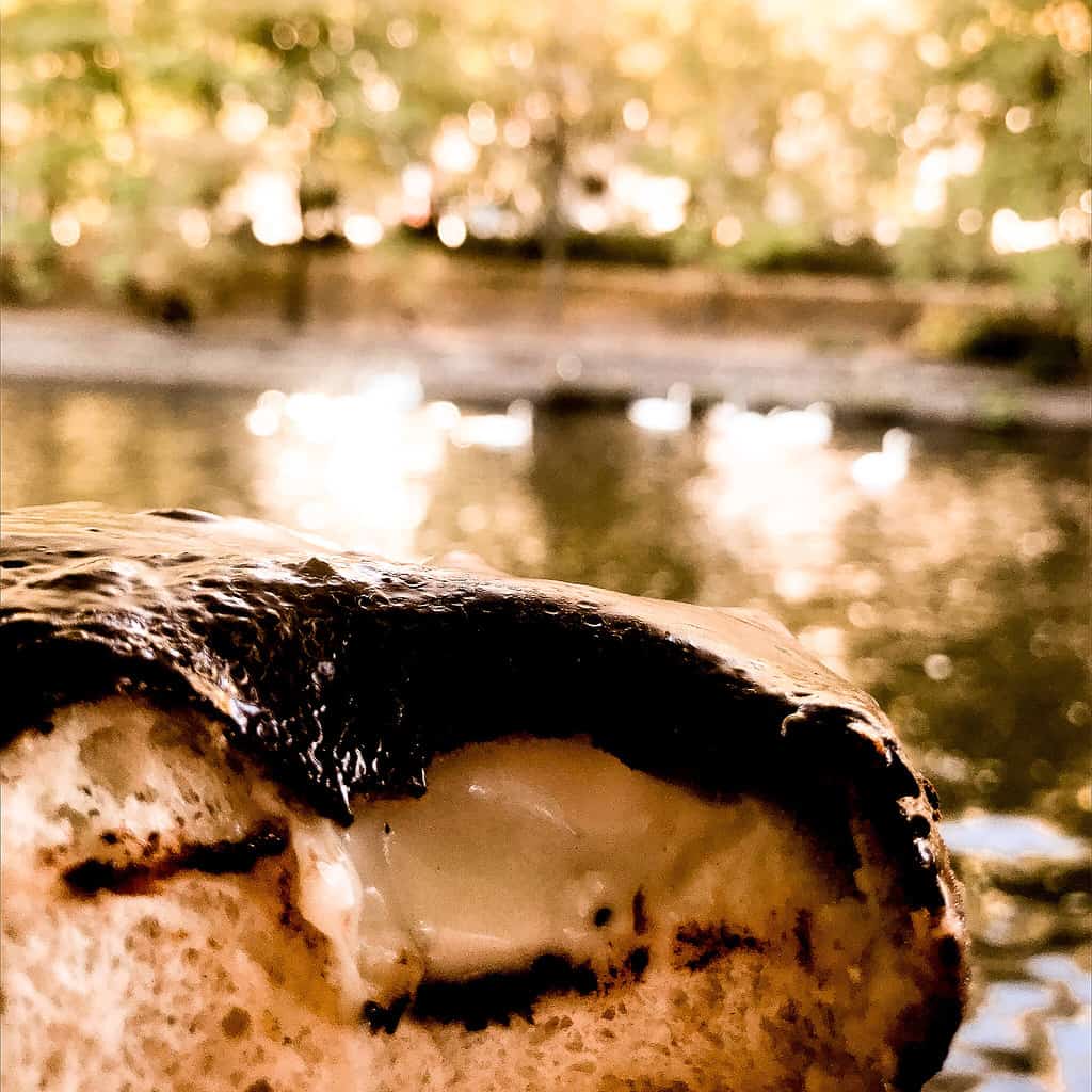 Donut bei Brammibal's